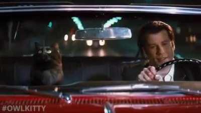 Purr Fiction car scene