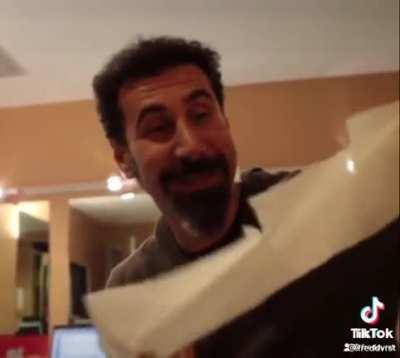 Can anyone explain what serj said