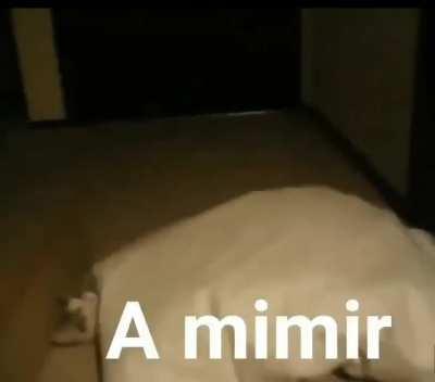 Tá tarde, circulando moçada.