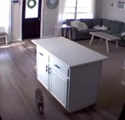 Using C@ to disable spyware