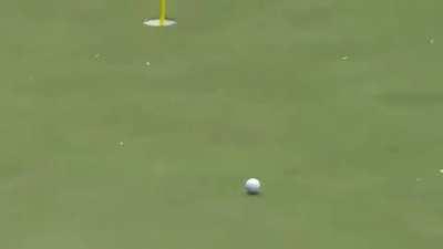 Case of possessed ball