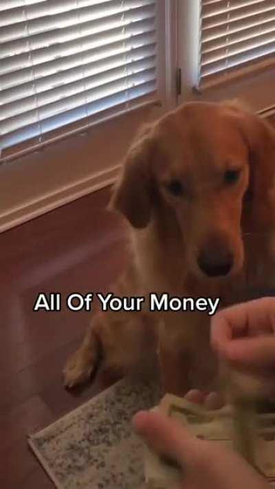 Meet the newest member of the family! We know…he's a bit hairy.❤️😂