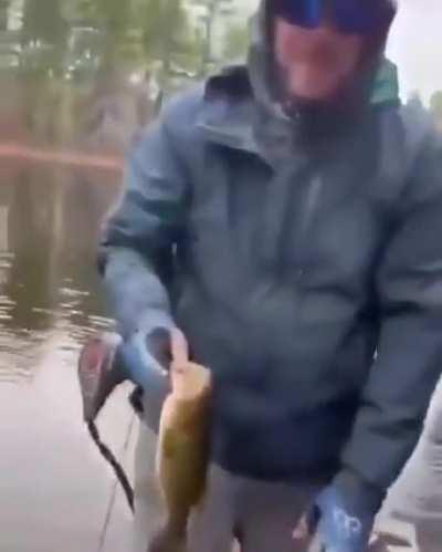 Brain malfunctioning.