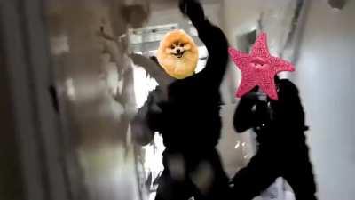 The Liquidation of Ken