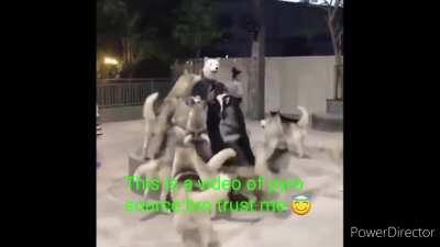 NEW LEAKED DOC MADE BY TUKEY TOM