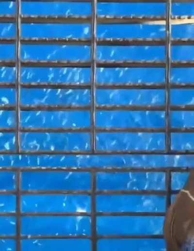 You guys like this kind of stuff right?