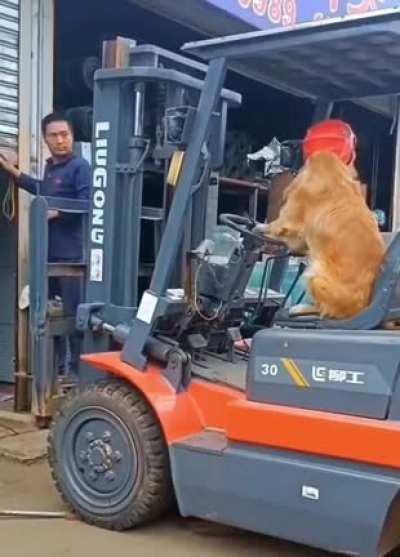 He works harder than most tradies.