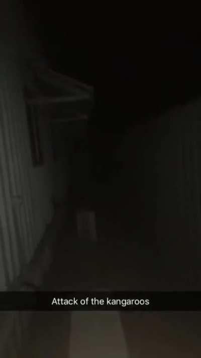 Kangarule