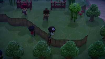 Musical Chairs Contest 🪑💰