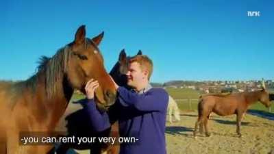 The best fucking video I've ever seen