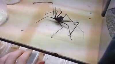 Thanks i hate this fucking thing