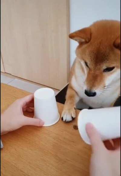 Oh no... Such wrong!