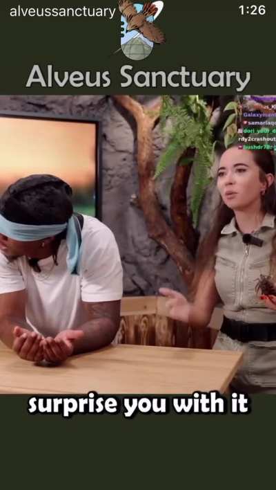 Sure, Calming exercises