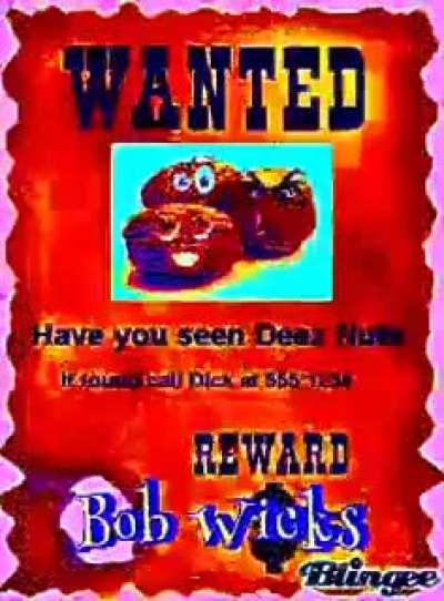 Bob Wicks will take your dreams back