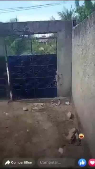 SquarePosting - Video #5433