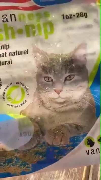 stopped working after an irresponsible dose