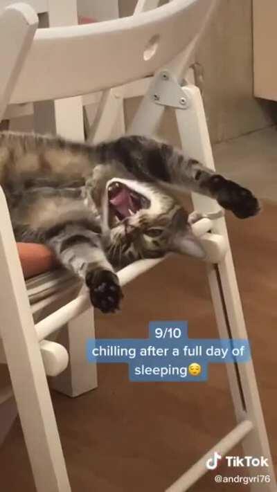 Genre: Video Game OST?, maybe Mario? / Era: 2000s / can anyone name the short song snippets in this vid? Prob all from the same game?