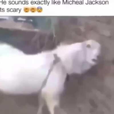 😱😱😱 no way!?!?!