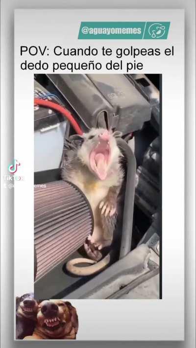 Cuando el chiquito encuentra la pata de la mesa