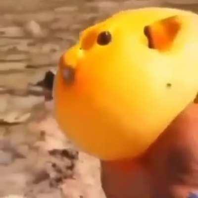 How long do yall plan on fish posting its been like 3 weeks?