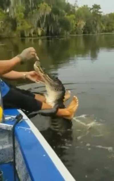 And then some folks have Dogs or Cats........