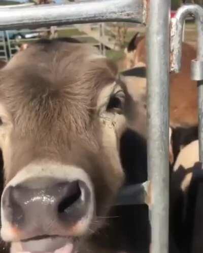 Enjoying the last couple of sunny days with a yummy frozen treat 🍦🤩💘