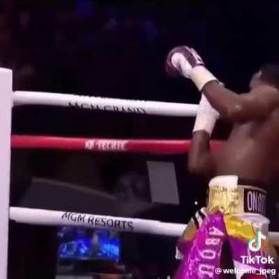 Yo peleando contra todo lo bueno que hizo Alberto fernandez