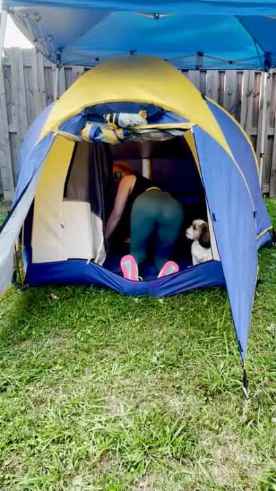 Going to Bonnaroo!! 🌈