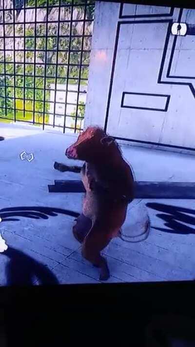 A normal day in solìs