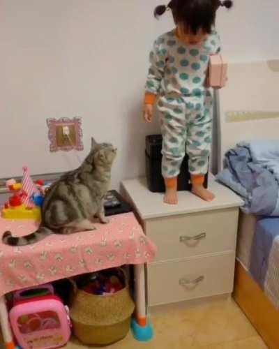 Catculating how to be the best friend