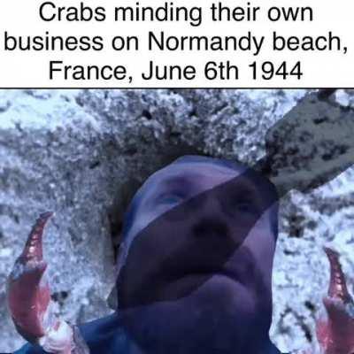 No one ever think about the crabs