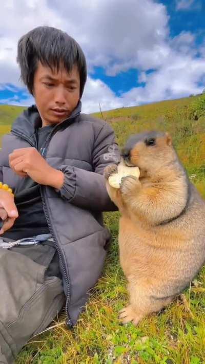 Marmot live it's best life