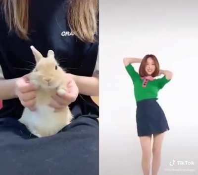 I bet you can’t spot the difference