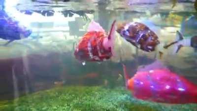 Lifelike robotic fish in Japan