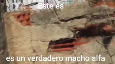 para dejar de ser un marikong como orslok mira este video