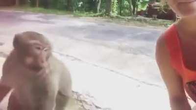Trying to befriend a wild monkey