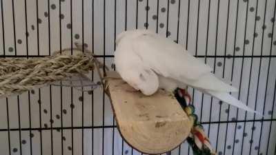 Blind little funny boy