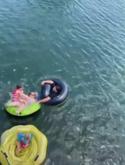 To chill in the water
