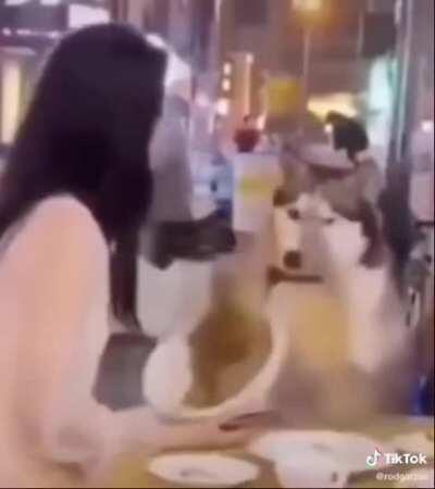 DylanteroYT - Video #4695