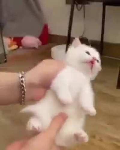 Well fuck, I gotta post something