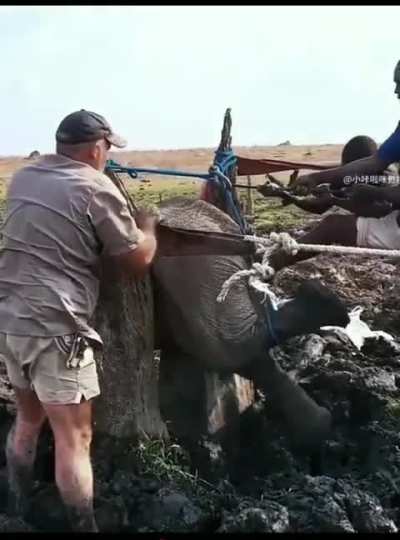 Lil Fella - A Freakin Towel? Seriously!