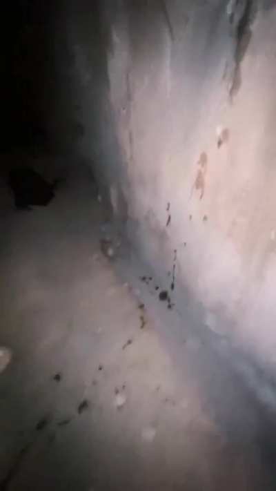 Fucked the cum out of her