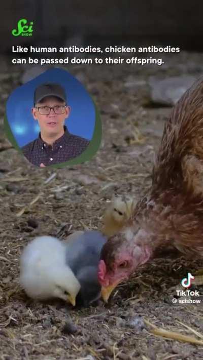 Henry needs to see this