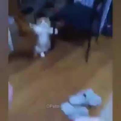 Котики-наркотики