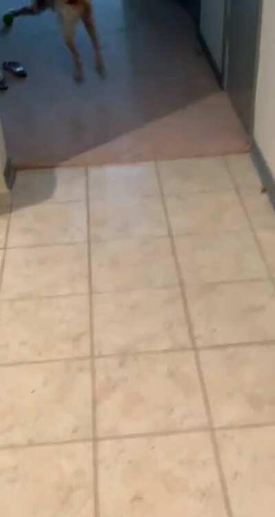 Left her home alone for 3 whole hours.