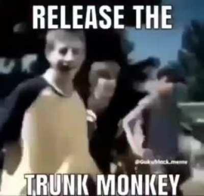 Release they trunk monkey