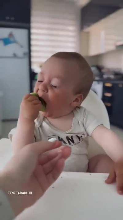 Kiwi-Flavored Existential Crisis