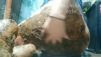 I look so sexy covered in shit [F]