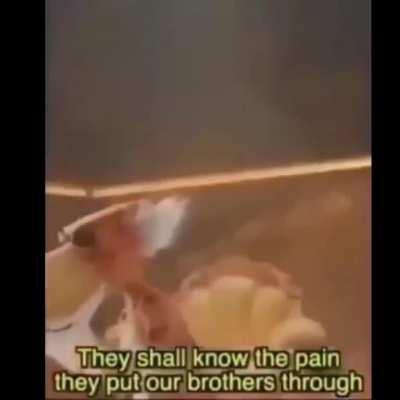 om allah chestar speak truth!& 🇮🇱🤬 ضرطة الكورية الإباحية