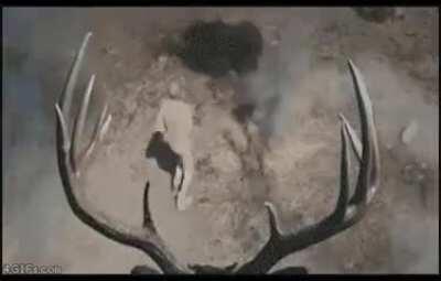 Alan Dracula be like